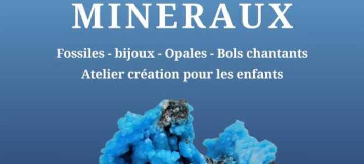 Salon vente Minéraux