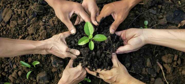 S'initier à la permaculture S'initier à la permaculture