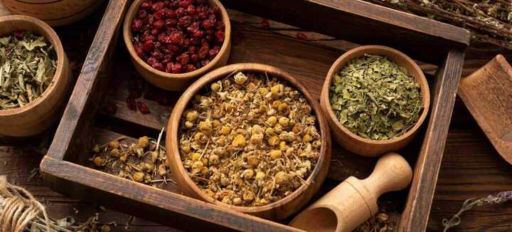 Initiez-vous à la phytothérapie et à la transformation des plantes !