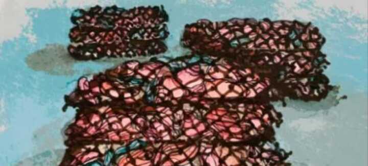 Journée inauguration de l'Exposition " Atchitectures sentinelles " de Florence Wuillai