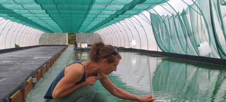 Causerie : Spiruline & Huitres Plates