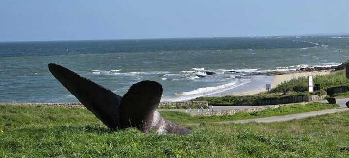 Atelier de peinture à l'aquarelle - Fort Neuf