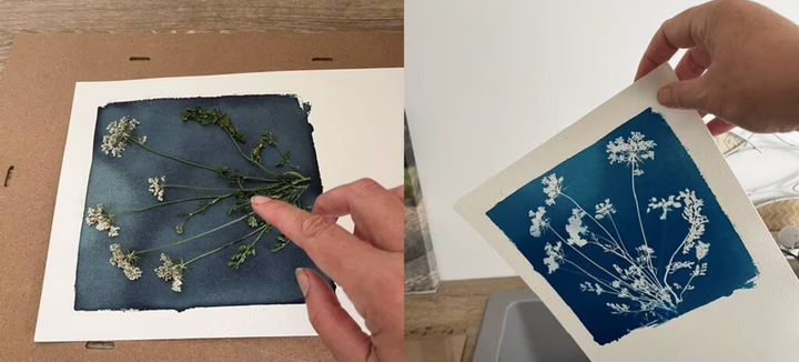 Atelier cyanotype