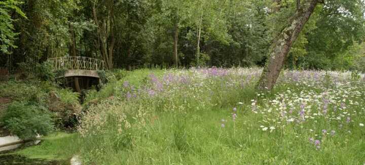 Lecture de paysage & dessin au Jardin de la Garenne