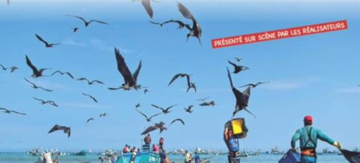 Ciné docs de voyage et d’aventure : ÉQUATEUR « Terre de Diversité »
