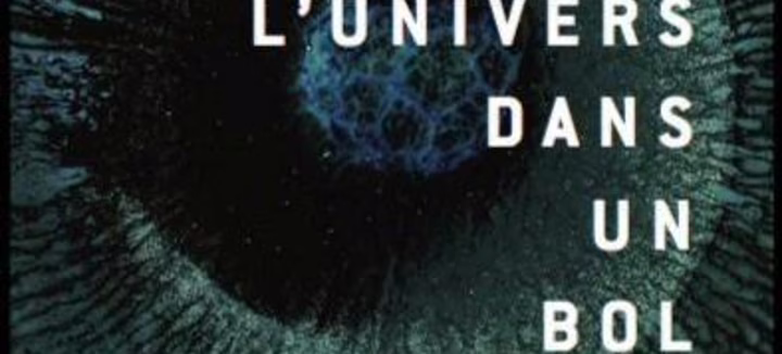 Projection : Yohen, l’univers dans un bol