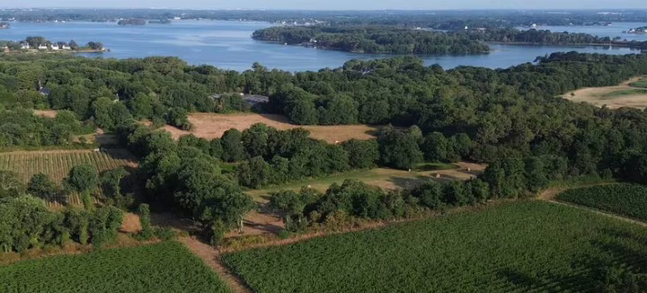 Visite d'entreprise - Vignes de la Ria à Belz