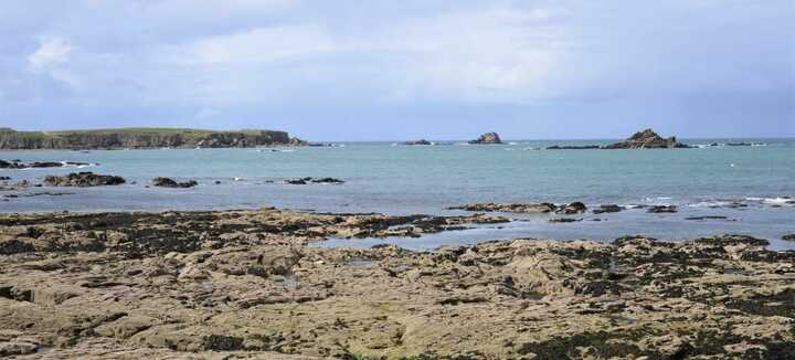 Découverte de l'estran à la Pointe de Conguel Découverte de l'estran à la Pointe de Conguel
