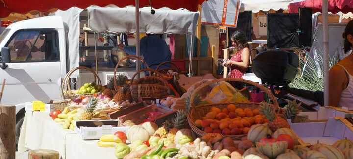 Marché saisonnier à Port-Haliguen Marché saisonnier à Port-Haliguen