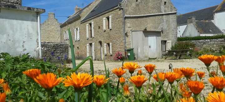 LOFFICIAL Pierrick - Duplex Pilo LOFFICIAL Pierrick - Duplex Pilo