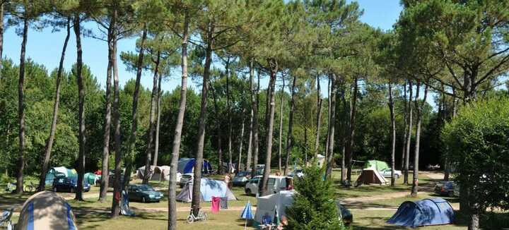 Camping Naturiste CNBS La Pinède Camping Naturiste CNBS La Pinède