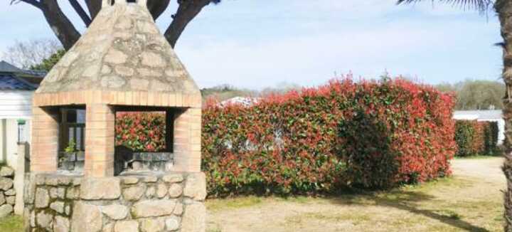Camping Paradis les Palmiers Camping Paradis les Palmiers