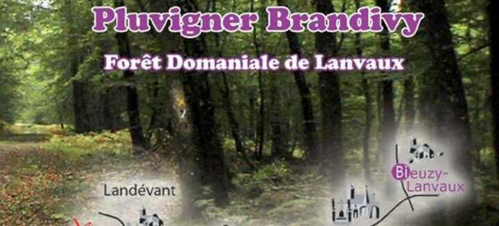Pluvigner - Circuit de Bieuzy-Lanvaux Pluvigner - Circuit de Bieuzy-Lanvaux