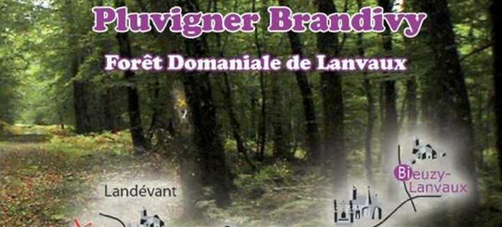 Pluvigner - Circuit de Bieuzy-Lanvaux Pluvigner - Circuit de Bieuzy-Lanvaux