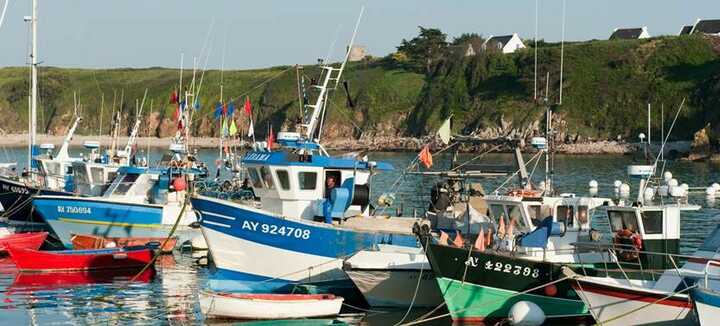 Port de plaisance Saint Gildas-Ile de Houat Port de plaisance Saint Gildas-Ile de Houat