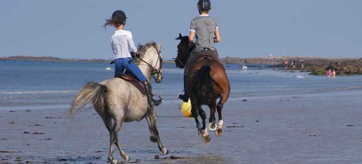 Erdeven Equitation - Centre équestre Poney Club Erdeven Equitation - Centre équestre Poney Club