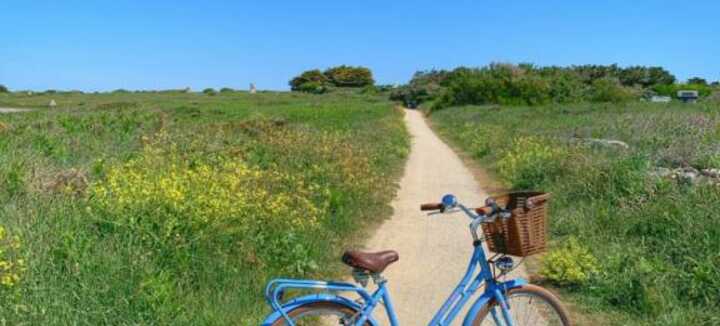 Beach Bikes Bretagne Beach Bikes Bretagne