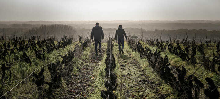 Domaine Bonnet-Huteau Domaine Bonnet-Huteau