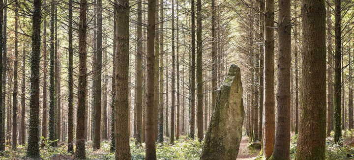 Menhir Men Bras