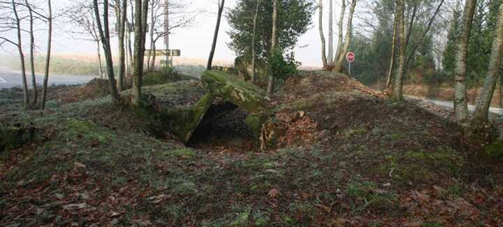 Allée-couverte Lann er Veinn Allée-couverte Lann er Veinn