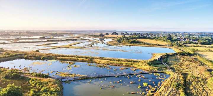 Réserve Naturelle des marais de Séné Réserve Naturelle des marais de Séné