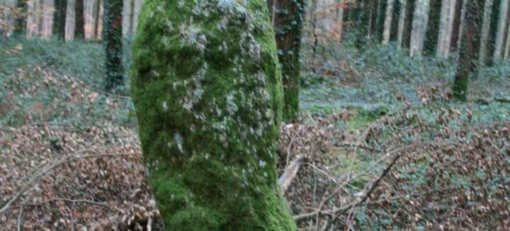 Menhir Men Bihan Menhir Men Bihan