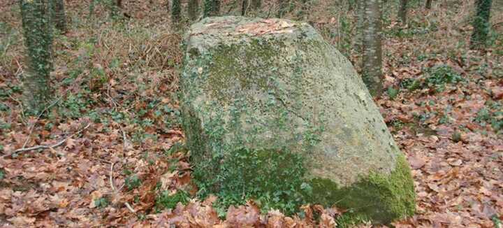 Menhir L’armoirie Menhir L’armoirie