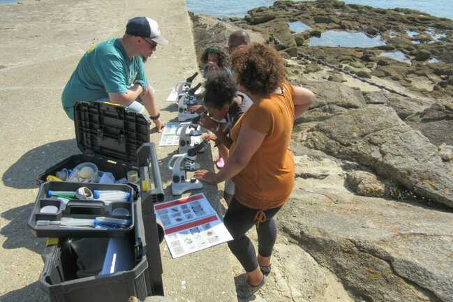 Port-Louis-Observatoire du Plancton-les microscopes sur l'estran