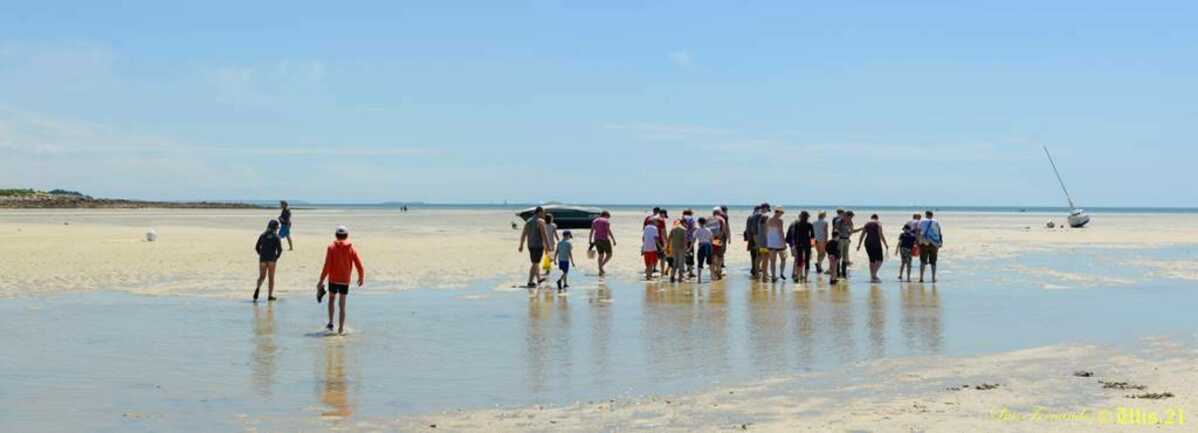 guide-nature-melanie-chouan-trinite-sur-mer-morbihan-bretagne-sud