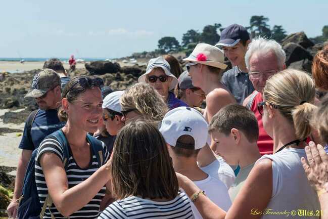 guide-nature-melanie-chouan-trinite-sur-mer-morbihan-bretagne-sud