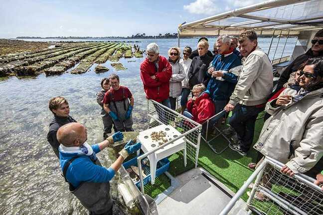 Au-Rythme-des-Marées-Baden-Golfe-du-Morbihan-Bretagne sud