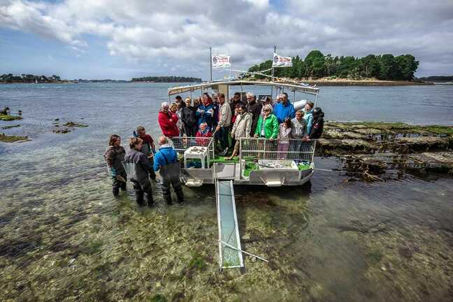 Au-Rythme-des-Marées-Baden-Golfe-du-Morbihan-Bretagne sud