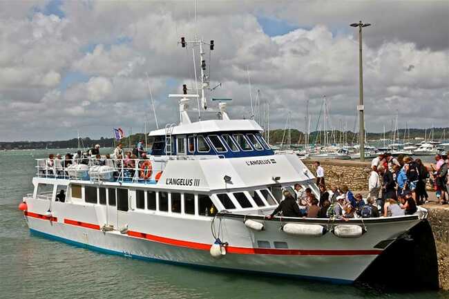 Vedettes-l'Angélus-Locmariaquer-Morbihan-Bretagne-Sud