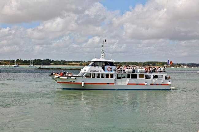 faune-ocean-locmariaquer-morbihan-bretagne-sud