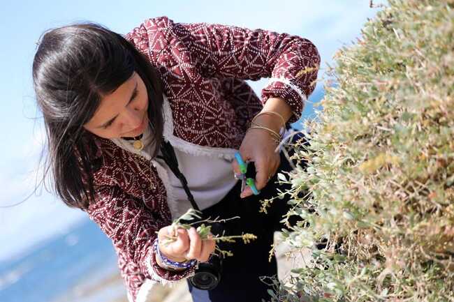 Chemins detournes - cueillette - teambuilding