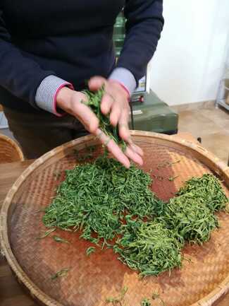 Languidic_JardindeThe_FilleuledesFees_AtelierFabricationRoulage