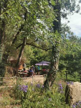 Languidic_JardindeThe_FilleuledesFees_EspaceDegustation3 (1)