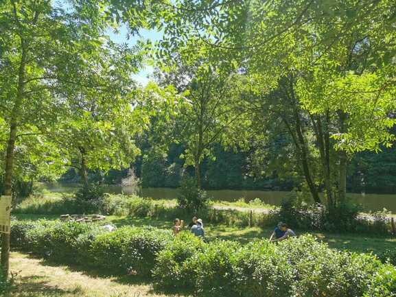 Languidic_JardindeThe_FilleuledesFees_Plantations