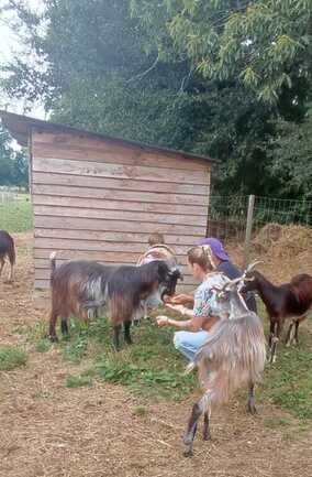 520316001_722366650552776_2135558952738309368_n