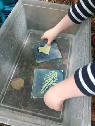 IMG_20250723_151700 1