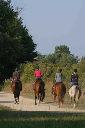 Erdeven Equitation ERDEVEN Morbihan Bretagne Sud