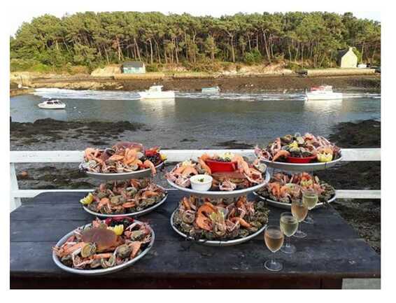 La-Cabane-à-Huîtres-Baden-Golfe-du-Morbihan-Bretagne sud