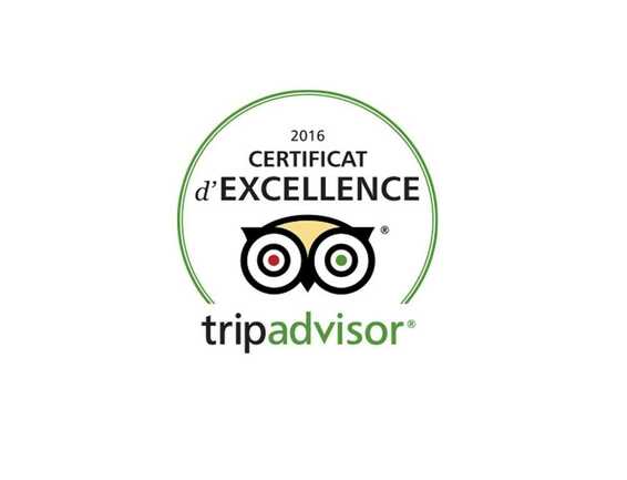 Logo-Tripadvisor-Golfe-du-Morbihan-Bretagne sud