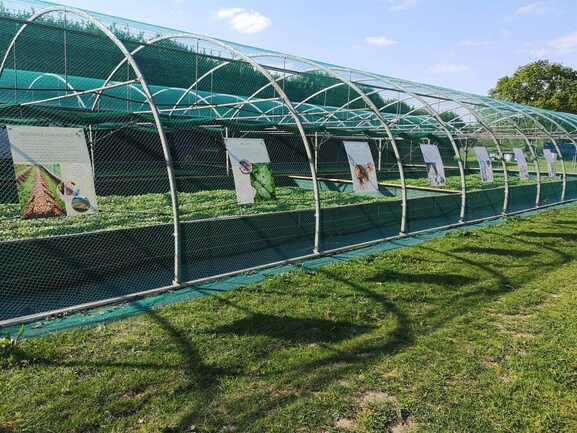 Sainte-Hélène-ParcEscargots