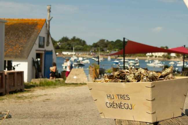 Chez-Lucien-Ets-Crénéguy-Larmor Baden-Golfe-du-Morbihan-Bretagne sud