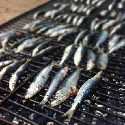 fish