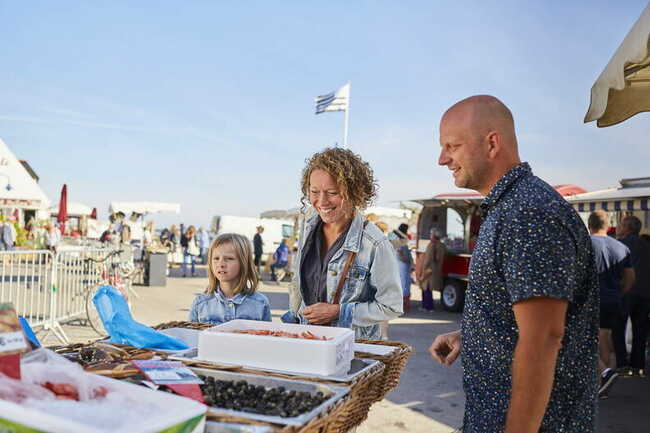 port-marche-famille-locmariaquer_792x528
