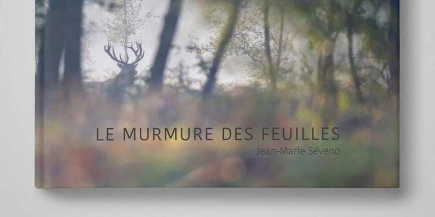 Le murmure des feuilles