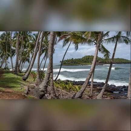 Guyane, une pépite en Amazonie Guyane, une pépite en Amazonie