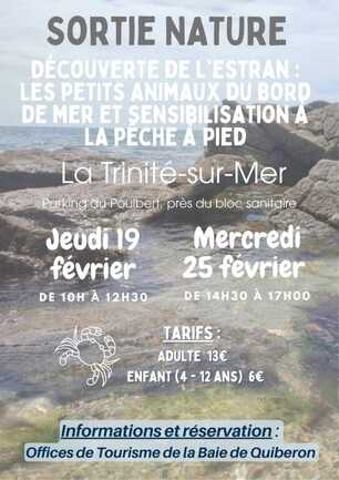 Découverte estran OCT 2025 - 1